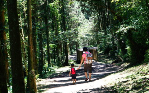 小山行