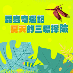 《昆蟲奇遇記 夏天的三場探險》活動報名