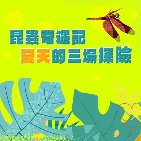《昆蟲奇遇記 夏天的三場探險》活動報名